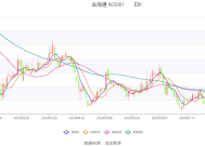 金海通：2024年净利润同比下降7.44%，拟10派1.7元|界面新闻 · 快讯