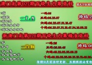 澳门今晚必中一肖一码今晚澳门-精选解析与落实的详细结果