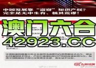 澳门三码三码精准100%-全面探讨落实与释义全方位