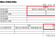 审计琏升科技存在违规行为，华兴会计师事务所及两名注册会计师被警示|界面新闻 · 证券