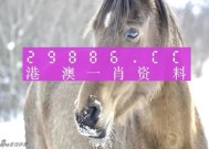 澳门一肖一码100%精准一-全面探讨落实与释义全方位