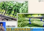 联合国机构：加沙过境点关闭导致面粉和蔬菜价格上涨超100倍|界面新闻 · 快讯